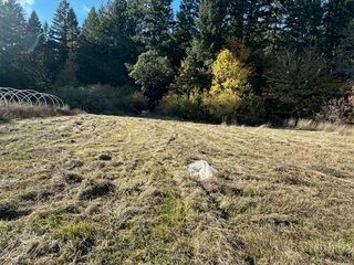 1200 McMullen Creek Road, Selma, OR 97538