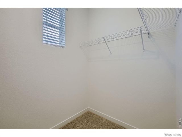 960 Nettle Lane, Fort Collins, CO 80524
