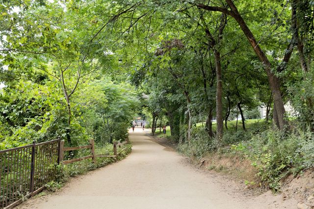 1900 Barton Springs RD 3016, Austin, TX 78704