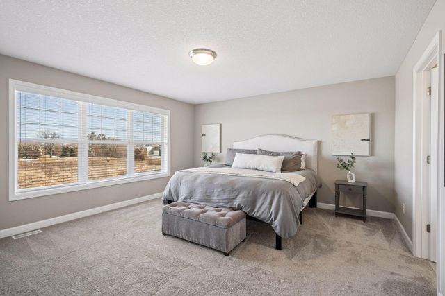 6582 Bridle Path, Corcoran, MN 55340