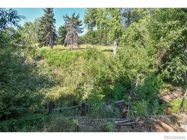 1615 Cottonwood Drive 13, Louisville, CO 80027