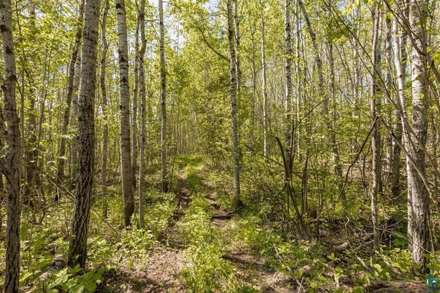 4239 S Lyman Lake Rd, South Range, WI 54874