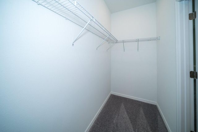 32134 POWDERPUFF MIMOSA DRIVE, San Antonio, FL 33576