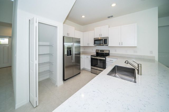 32134 POWDERPUFF MIMOSA DRIVE, San Antonio, FL 33576