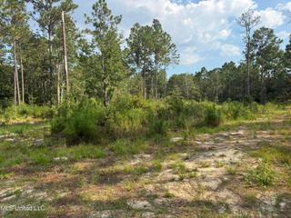 7368 Longridge Road, Long Beach, MS 39560