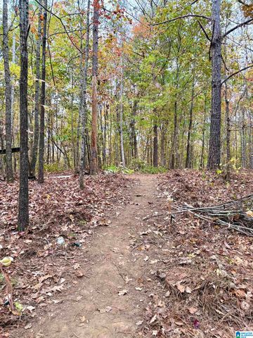 1383 TRAMMELL MOTORWAY, Sylacauga, AL 35150