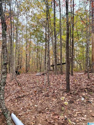 1383 TRAMMELL MOTORWAY, Sylacauga, AL 35150