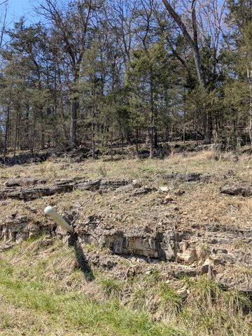 TBD Oakpoint Lane, Holiday Island, AR 72631