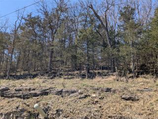 TBD Oakpoint Lane, Holiday Island, AR 72631