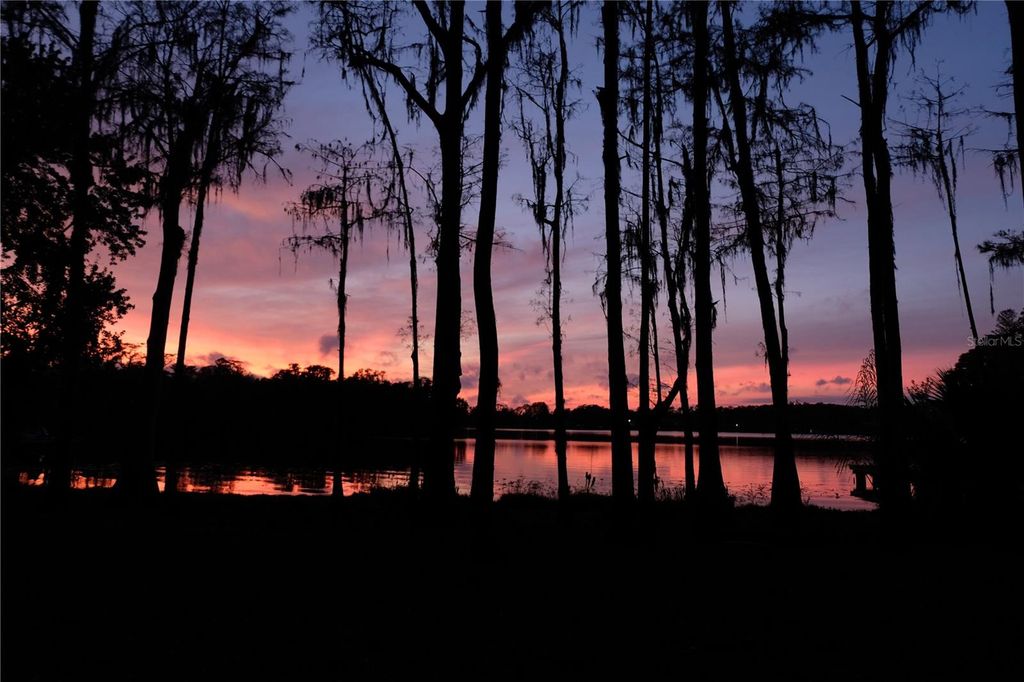 16308 ROCK LAKE DRIVE, Odessa, FL 33556