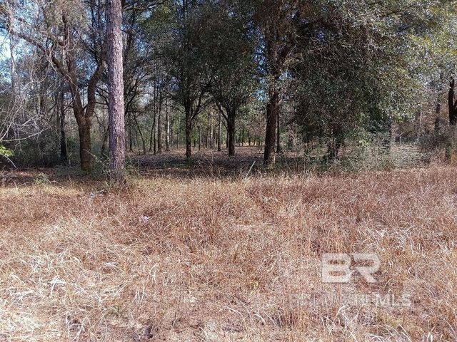 32799 Rustic Bend, Robertsdale, AL 36567