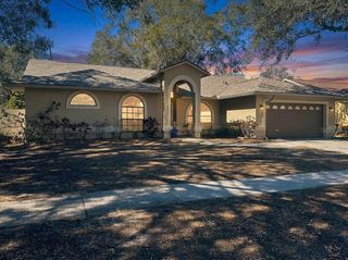 910 BALSAMINA DRIVE, Brandon, FL 33510