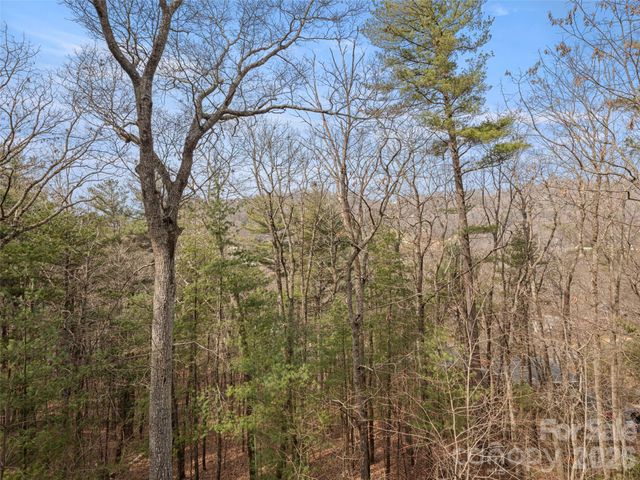 9 Stegall Lane, Asheville, NC 28805