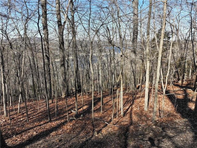 E Center Road, Eureka Springs, AR 72631