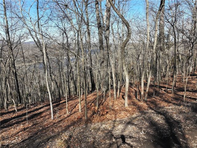 E Center Road, Eureka Springs, AR 72631