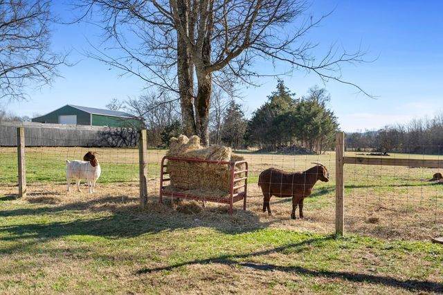 5650 Sledge Rd, Christiana, TN 37037