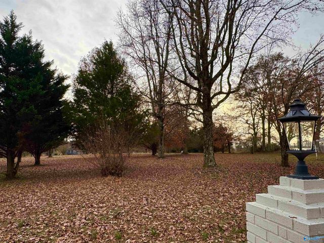 108 Brock Street, Albertville, AL 35950