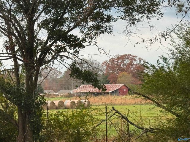 108 Brock Street, Albertville, AL 35950