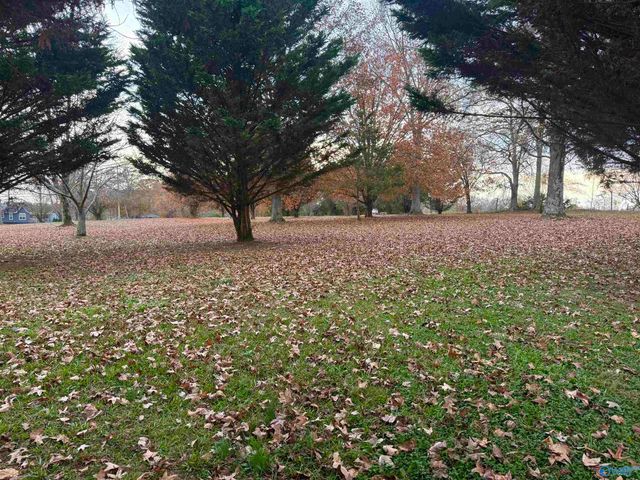 108 Brock Street, Albertville, AL 35950