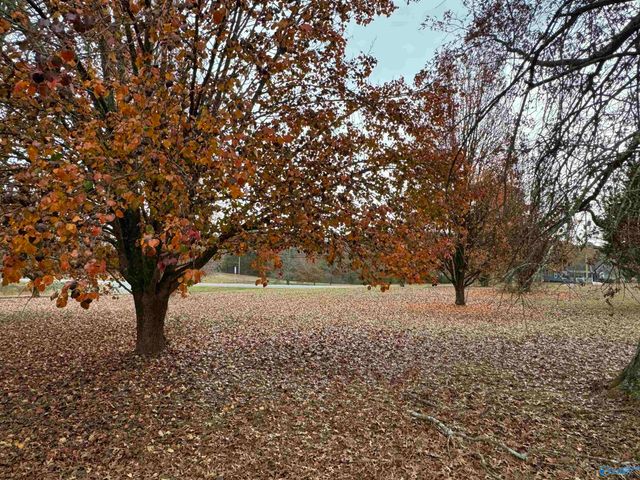 108 Brock Street, Albertville, AL 35950