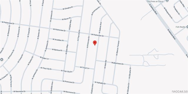 8122 GALENA Avenue, Citrus Springs, FL 34434