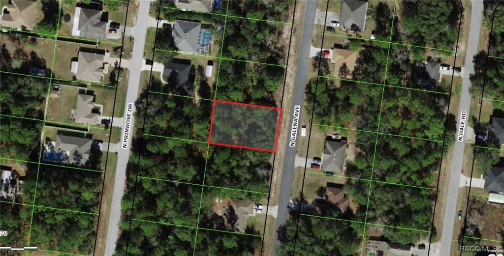 8122 GALENA Avenue, Citrus Springs, FL 34434