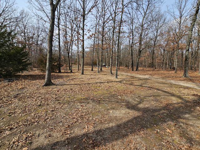 8233 Alamo Lane, Seneca, MO 64865