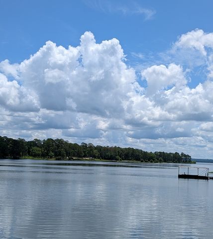 Lot 507 Lakeshore Dr, Abbeville, AL 36310