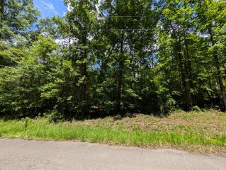 Lot 507 Lakeshore Dr, Abbeville, AL 36310