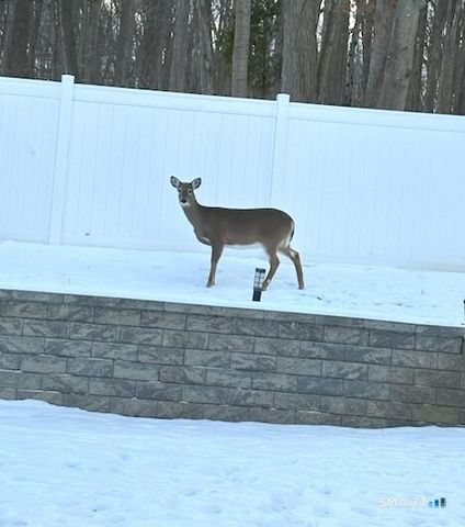 22 Harnish Lane, Wallingford, CT 06492