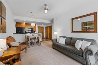 34 Highfield Trail 203, Breckenridge, CO 80424