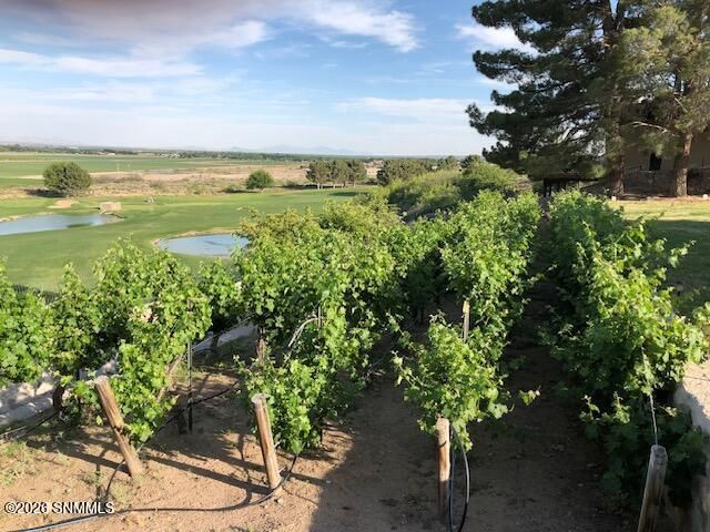 6648 Vista Hermosa, Las Cruces, NM 88007