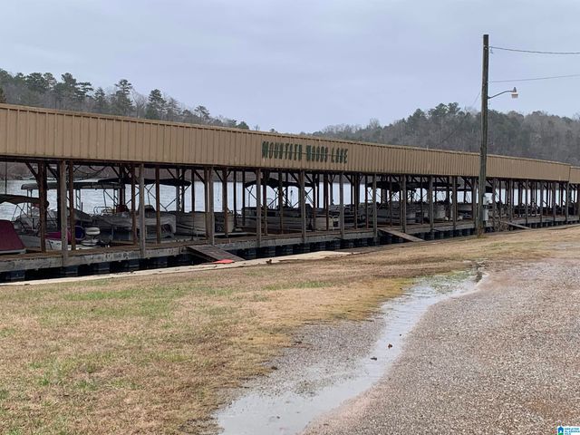 801 LAKESHORE CIRCLE, Warrior, AL 35180