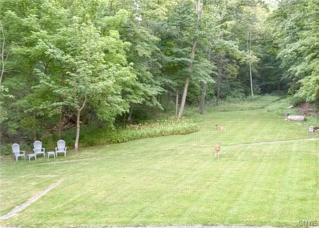 2287 Bockes Road, Spafford, NY 13152