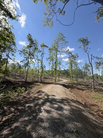 6492 Cross Plains Rd, Springfield, TN 37172