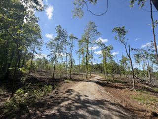 6492 Cross Plains Rd, Springfield, TN 37172