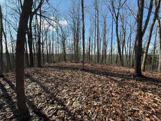 191 The Reserve At Cliffview, Zoe, KY 41397