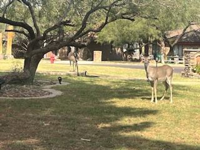 60 E Canyon View Drive, Ransom Canyon, TX 79366