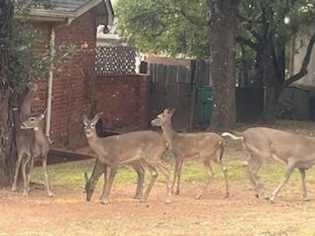 60 E Canyon View Drive, Ransom Canyon, TX 79366