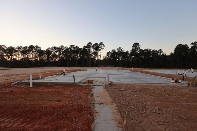 11422 Billy Bob Street, Montgomery, TX 77354