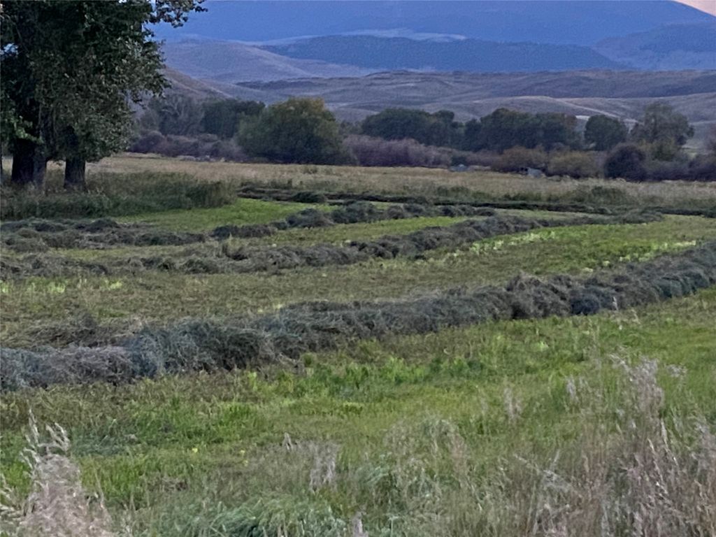 263 W Bovine Way, Melrose, MT 59743 photo 6