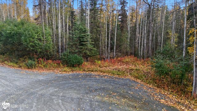 000 Ansel Street, Soldotna, AK 99669