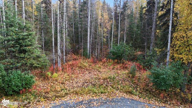 000 Ansel Street, Soldotna, AK 99669