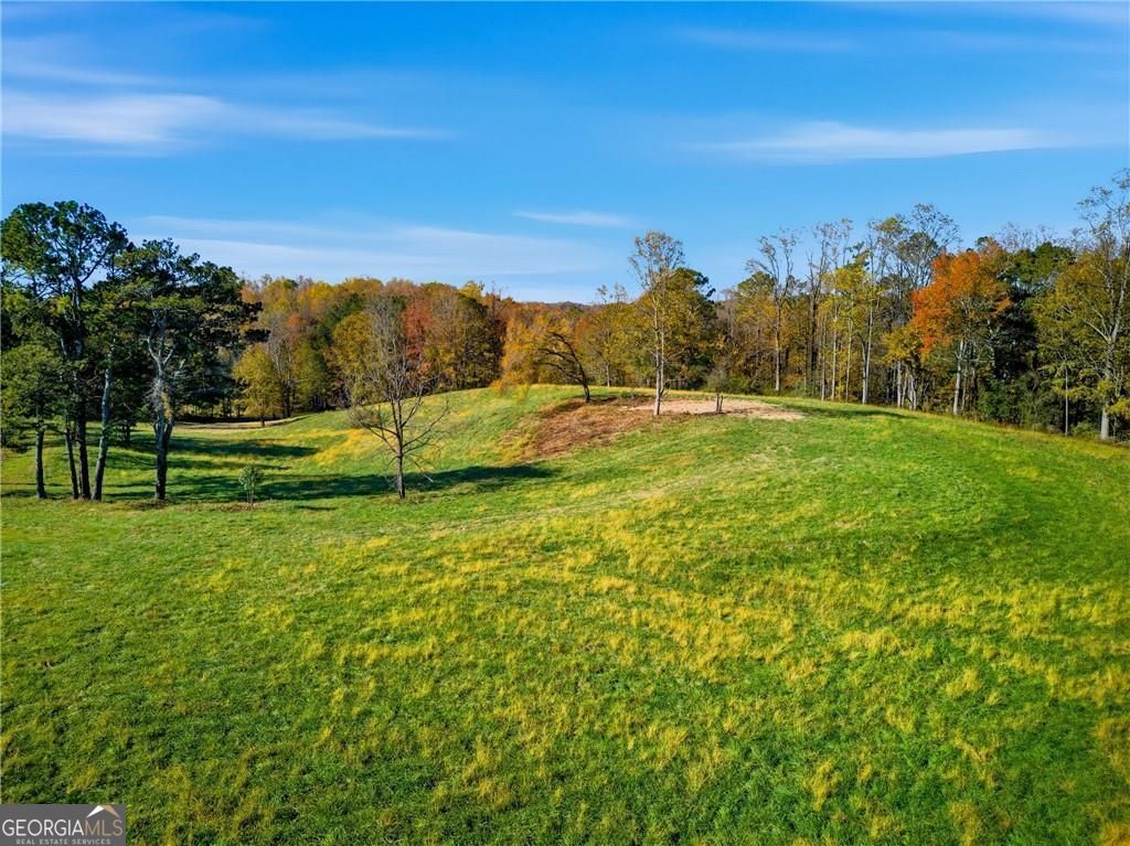 17230 Birmingham Highway, Alpharetta, GA 30004