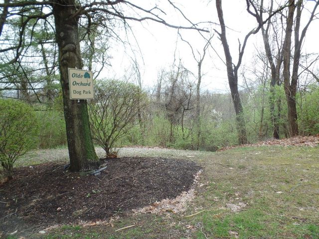 503 Winesap, South Fayette, PA 15017