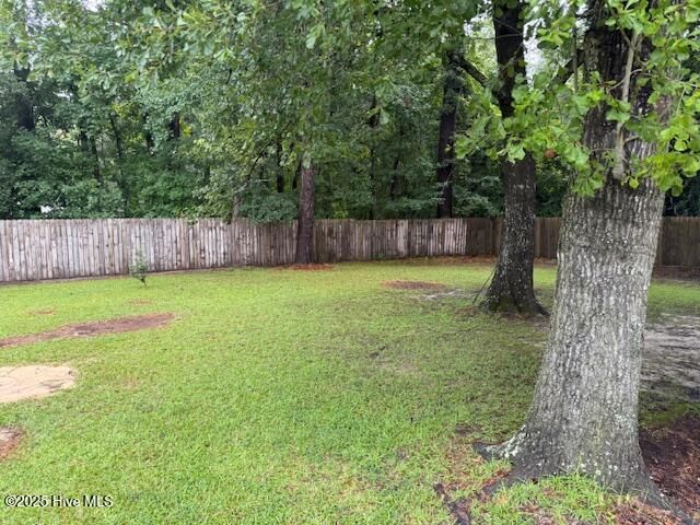 5628 Pleasant Plains Ch Road, Whiteville, NC 28472