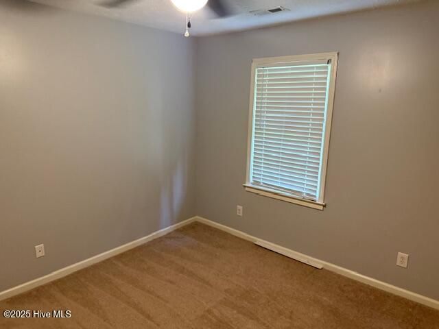 5628 Pleasant Plains Ch Road, Whiteville, NC 28472