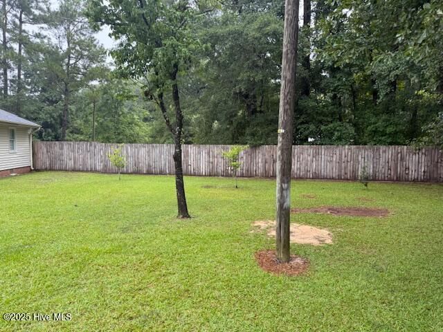 5628 Pleasant Plains Ch Road, Whiteville, NC 28472