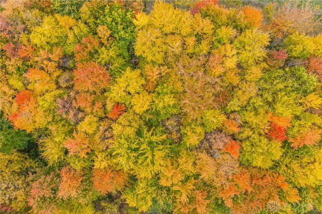 945 S Nixon Camp Road, Oregonia, OH 45054
