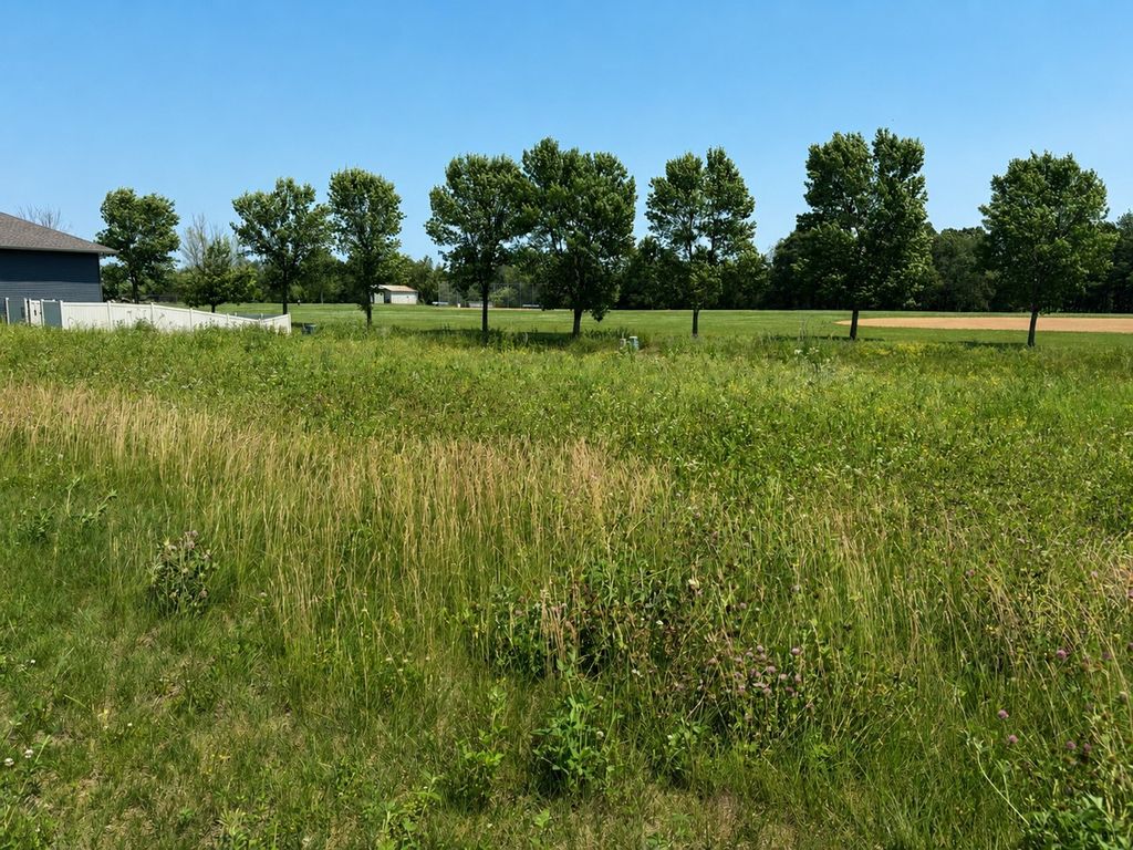 Image 1 of property listing at 2463 (Lot 20) Mercury Avenue, Rice Lake, WI 54868